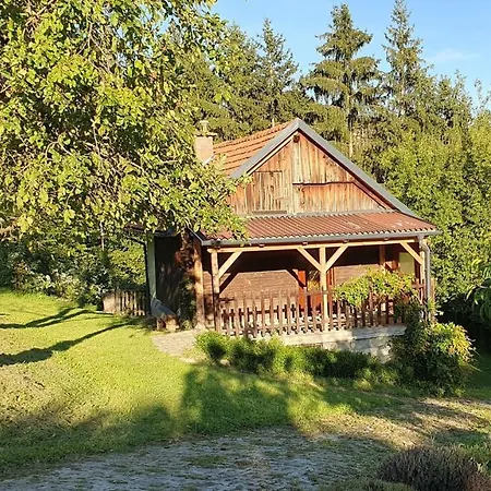 Hiska Ob Gozdu 別荘 *