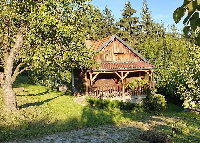 Hiska Ob Gozdu Holiday home *